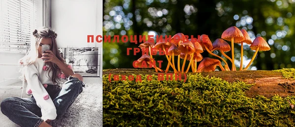 мяу мяу кристалл Нефтегорск