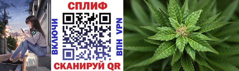 Канабис THC 21%  Купить где  Домодедово 